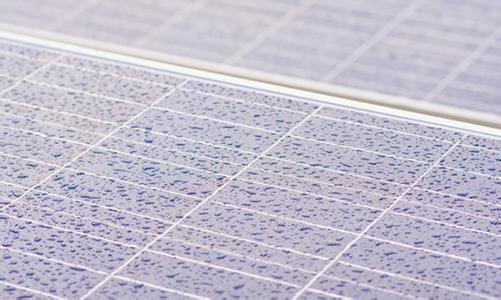 1462755901214083162.jpg 1.jpg