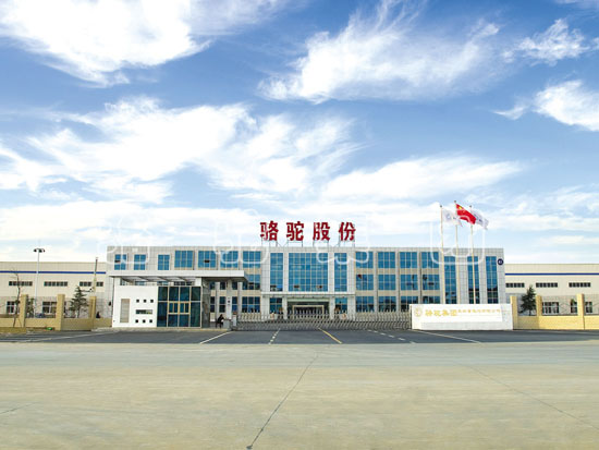 1462931340964084369.jpg 1.jpg