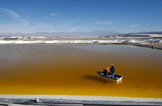 1464311396410011502.jpg 1.jpg