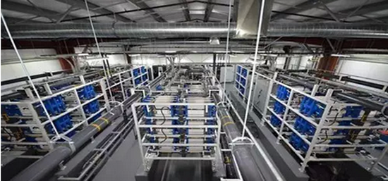 1465177934669015829.png 2.png