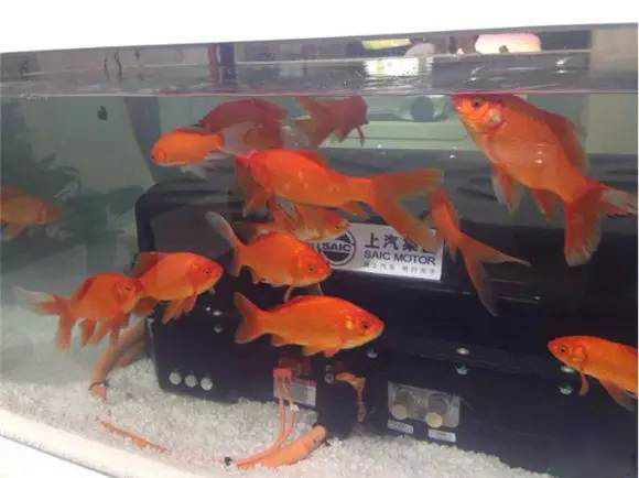 1466992014546080675.jpg 1.jpg