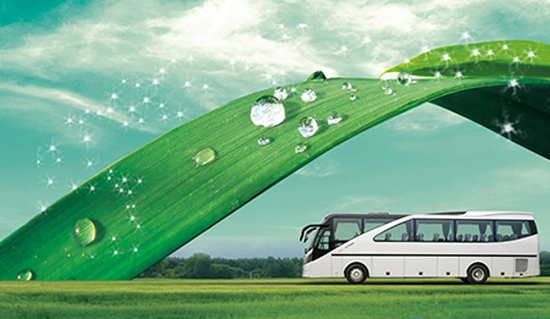 1467769512188033641.jpg 12.jpg