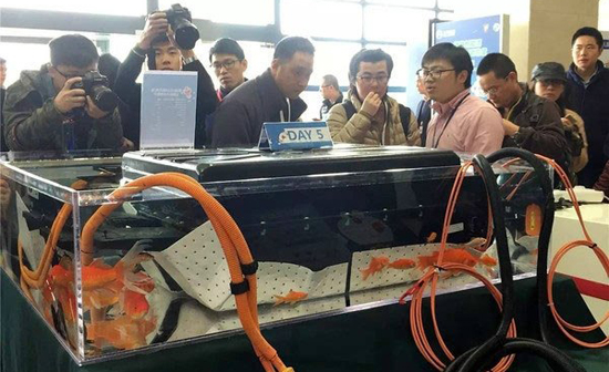 1467947760840051927.jpg 83.jpg