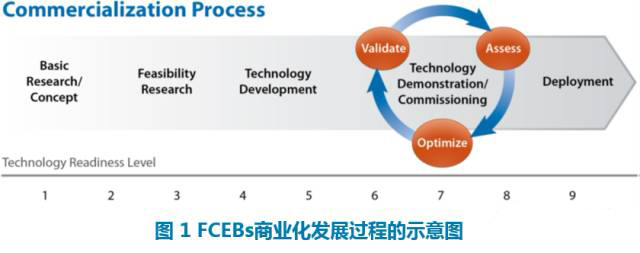 1467957842458018974.jpg 1.jpg