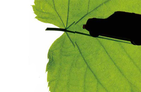 1471314109702080669.jpg 22.jpg