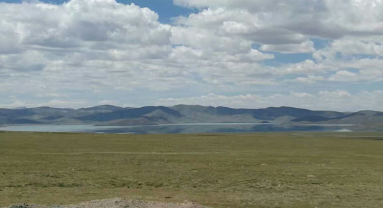 1471575072337019867.jpg 16.jpg