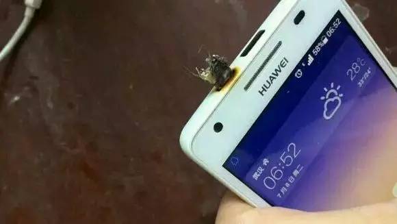 谈锂电池爆炸的前世今生:前有索尼 后有三星