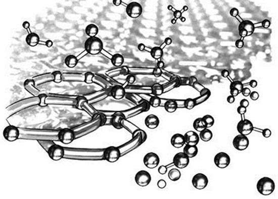 1478053206659034584.jpg 15.jpg