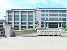 金莱特：关于投资设立的香港子公司正式成立的公告