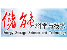 【储能科学与技术】聚焦动力电池发展瓶颈 第一届动力电池应用国际峰会在京召开