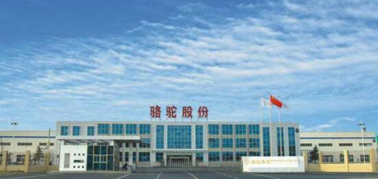 1481167995653005686.jpg 1.jpg