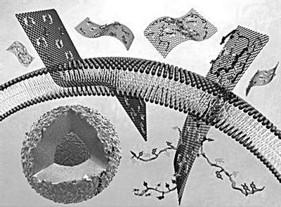 1481505827618023705.jpg 1.jpg