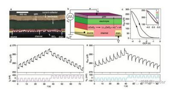 1481767730449077130.jpg 14-2.jpg