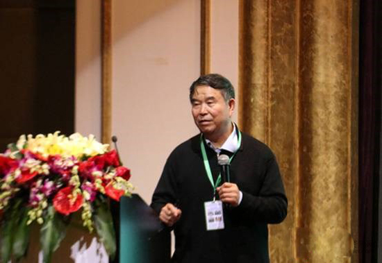 1482374270777013097.jpg 13-2.jpg