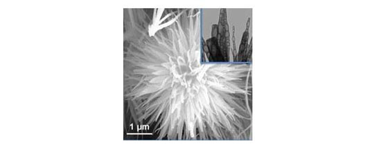 1482888926170009355.jpg 13-2.jpg