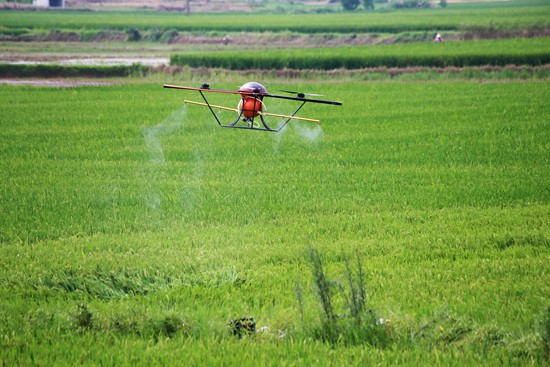 1484553498497047400.jpg 1.jpg