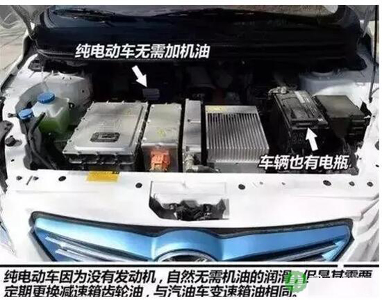 1484639501492079905.jpg 3.jpg