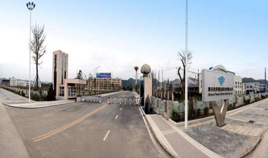 1486606577200043931.jpg 1.jpg