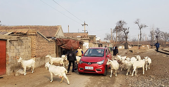 1487902512056095857.jpg 未标题-18.jpg