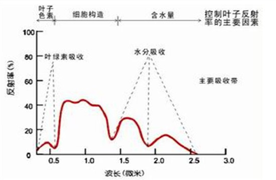 1488355021608040019.jpg 1488337086154048759.jpg