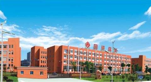 1488420665651020566.jpg timg.jpg