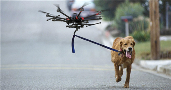 1490593172966031819.jpg 81701490577948566.jpg