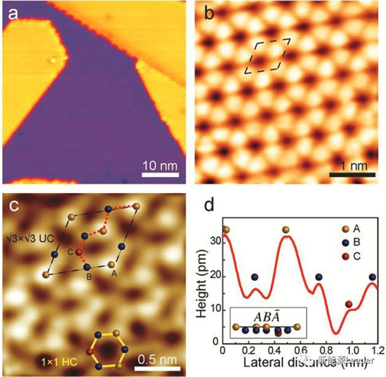 1490923593672090498.jpg 1-1.jpg