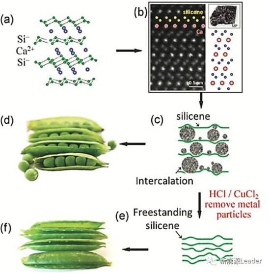 1490923623520026905.jpg 1-3.jpg