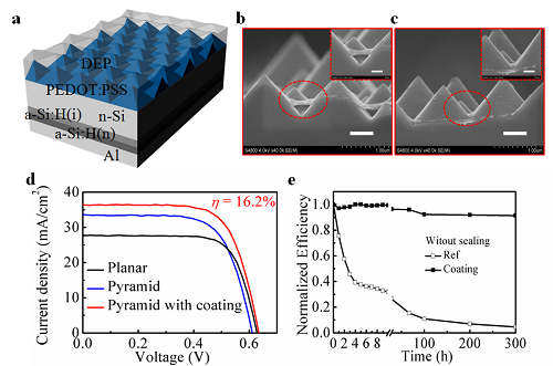 1491444590568028230.png 1.png