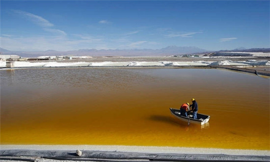 1492395611858084579.jpg 1492249229194062.jpg