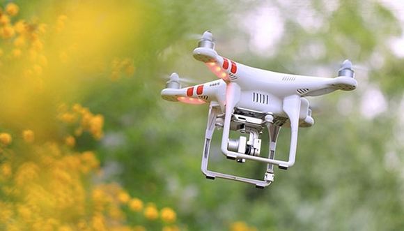 1492409325067048377.jpg timg.jpg