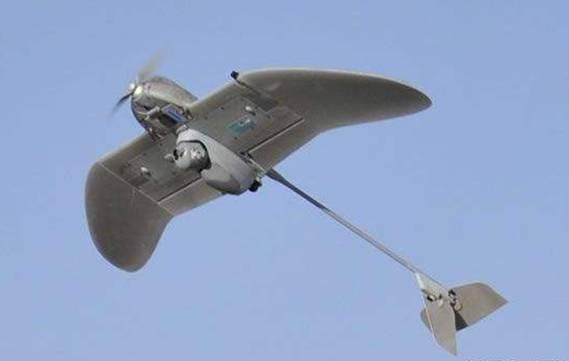 1492758264659029853.jpg 1-2.jpg