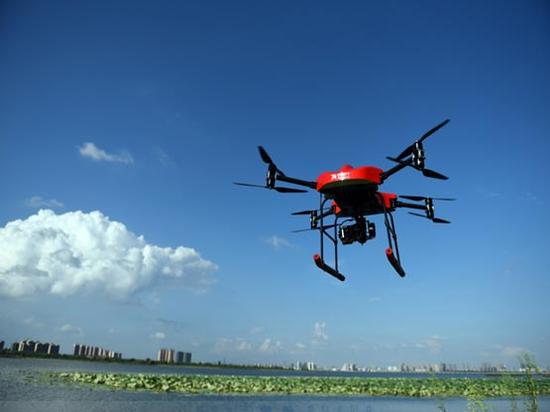 1493014776675012952.jpeg 123.jpeg