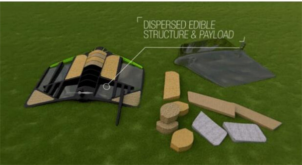 1493103595797028487.jpg 2.jpg