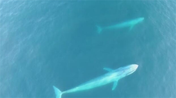 1493103634745047440.jpg 3.jpg