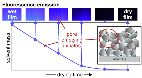 1493685871367050417.png 1-1.png