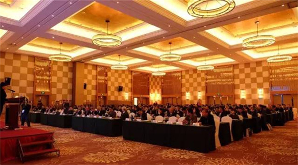 1494491341671044891.jpg 115.jpg