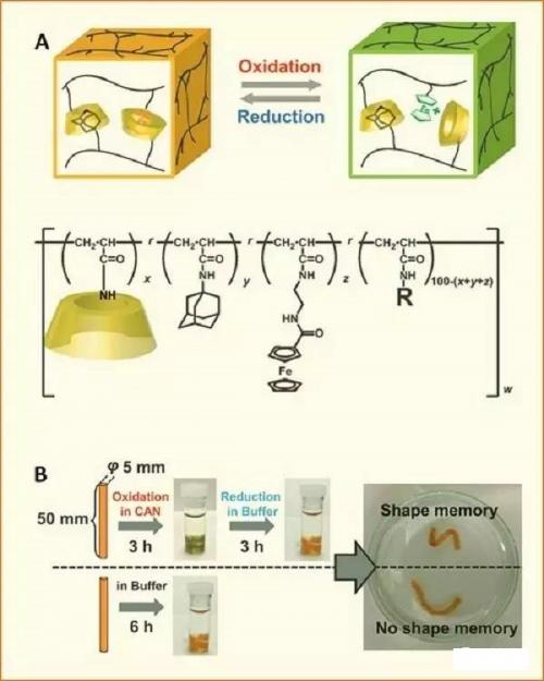 1495502053358038848.jpg 1-2.jpg