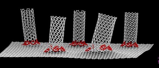 1495589137471084162.jpg 95d34c6d97ced19c8a442d011361d891.jpg