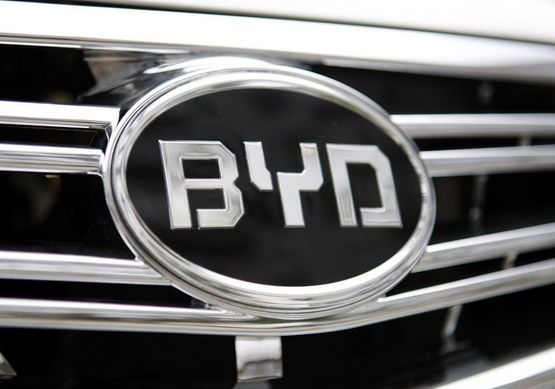 1495853235550075434.jpg timg.jpg