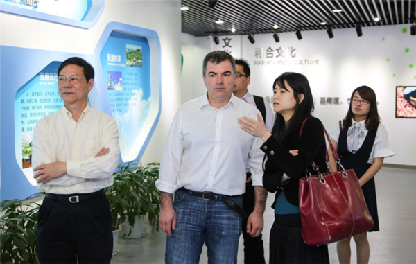 1496285958952063420.png 13.png