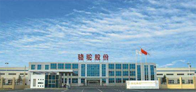 1496373701092059455.png 骆驼新能源获3048万补助,或凭“三招”更进一步.png