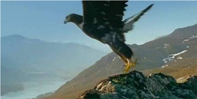 1496709230076009444.png 以日本失败祭旗,中国欲借新能源问鼎全球汽车产业.png