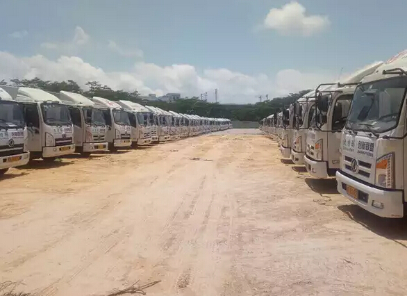 1497327631192029534.jpg 1f.jpg