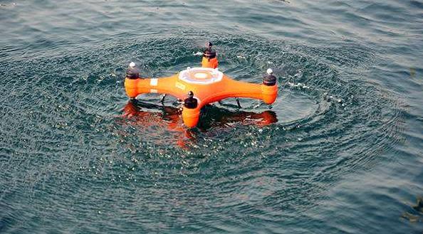 1498715215252018986.jpg 1498640816222.jpg