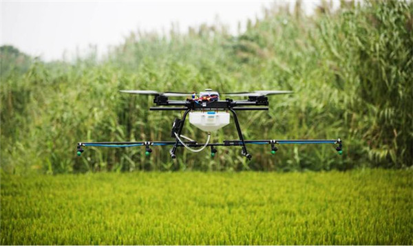 1498715996395053038.jpg timg.jpg