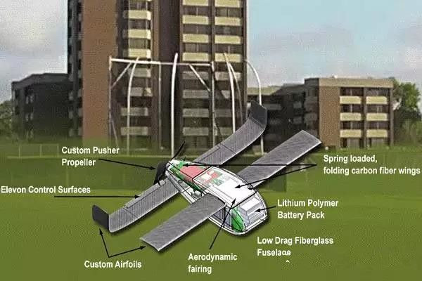 1499932612112041352.jpg 8.jpg