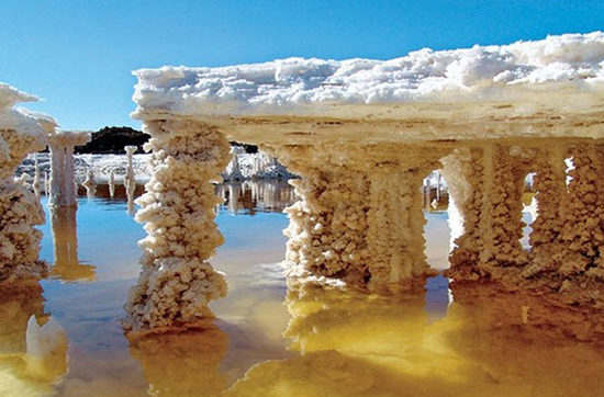 1500857557686086879.jpg 1261.jpg