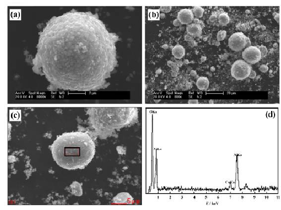 1501551541212007908.jpg 7.jpg