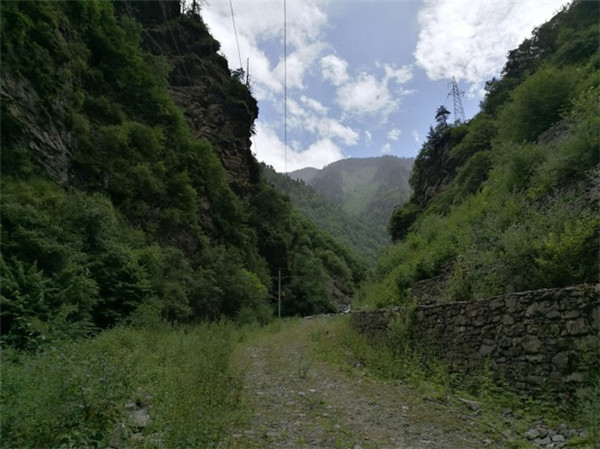 1503024899989068594.jpg 201708181005267290.jpg